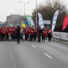 zdjęcie nr 33