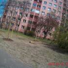 Fotka nr 4 z 18
