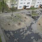 zdjęcie nr 8