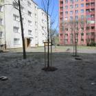zdjęcie nr 10