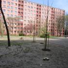 zdjęcie nr 11