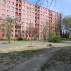 zdjęcie nr 14