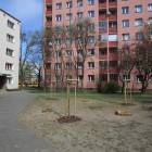 zdjęcie nr 18
