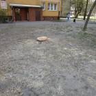 zdjęcie nr 11