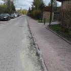zdjęcie nr 39