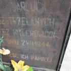 zdjęcie nr 27