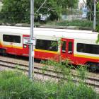 Fotka nr 1 z 13