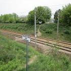 Fotka nr 5 z 13