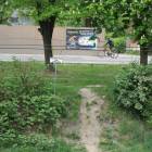 zdjęcie nr 8