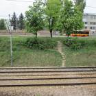 zdjęcie nr 10