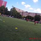 Fotka nr 4 z 88