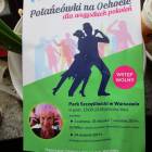 zdjęcie nr 28