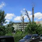 zdjęcie nr 40