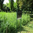 Park Szczęśliwicki