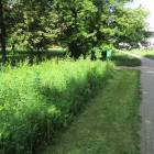 Park Szczęśliwicki