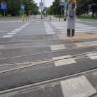 zdjęcie nr 42