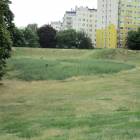 zdjęcie nr 8