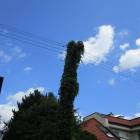 zdjęcie nr 34