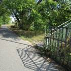 zdjęcie nr 31