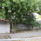 zdjęcie nr 43