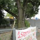 zdjęcie nr 44