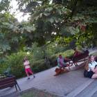 zdjęcie nr 89