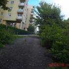 zdjęcie nr 12