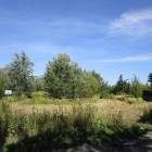 zdjęcie nr 81