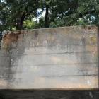 Fotka nr 5 z 14