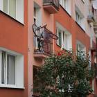 zdjęcie nr 8