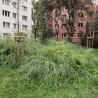 Fotka nr 5 z 11