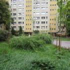 zdjęcie nr 7