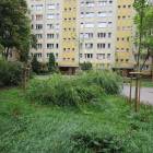 zdjęcie nr 8
