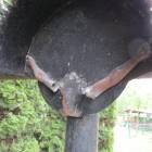 Fotka nr 5 z 18