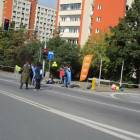 zdjęcie nr 146