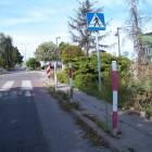 zdjęcie nr 8