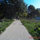 zdjęcie nr 19