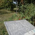 zdjęcie nr 70