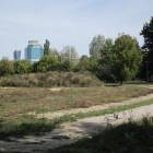 zdjęcie nr 77