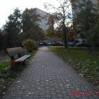 Fotka nr 2 z 33