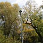 zdjęcie nr 31