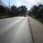 zdjęcie nr 17