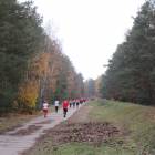zdjęcie nr 34