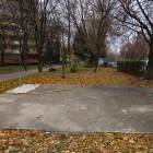 Fotka nr 4 z 10
