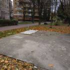 Fotka nr 5 z 10