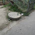 Fotka nr 5 z 12