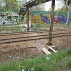 zdjęcie nr 8