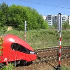 zdjęcie nr 15