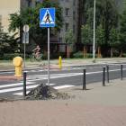 zdjęcie nr 48