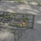 zdjęcie nr 9